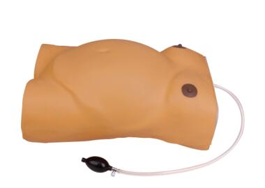 Maternity Examination Simulator