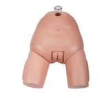 Bladder Puncture Simulator (Female)