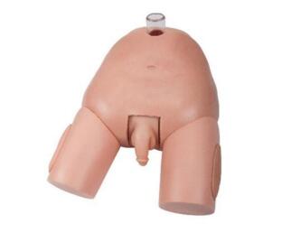 Bladder Puncture Simulator (Male)