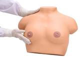 Electronic Inspection and Palpation of Breast Simulator