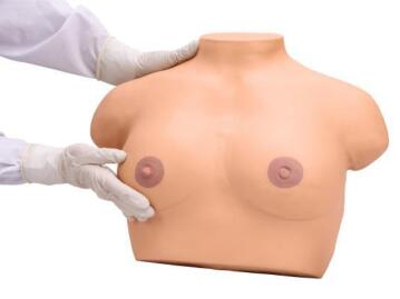 Electronic Inspection and Palpation of Breast Simulator