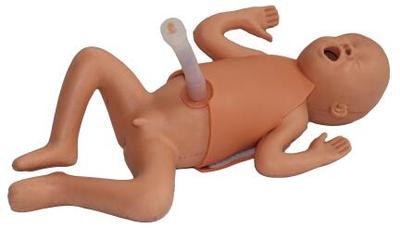 30 Weeks Premature Infant Model