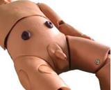 Pediatric Urethral Catheterization Simulator