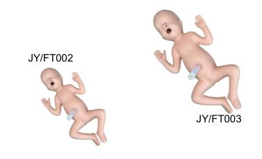 24 Weeks Premature Infant Model