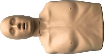 Mini CPR Training Torso (Simple Version)