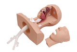 Suction Training Simulator