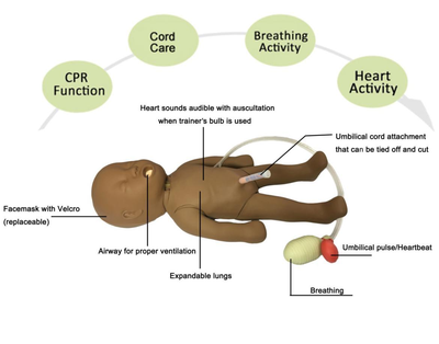 Baby Jack Newborn Resuscitation Simulator