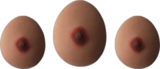 Breast Examination Model