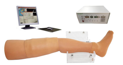 Interactive Hemostasis Emergency Training Leg (online)