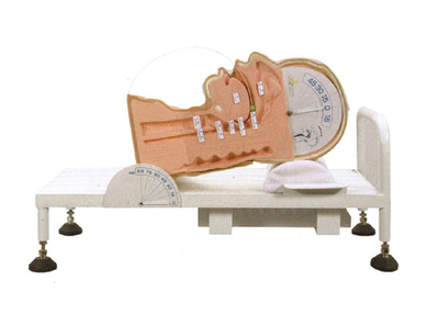 Swallow Mechanism Simulator