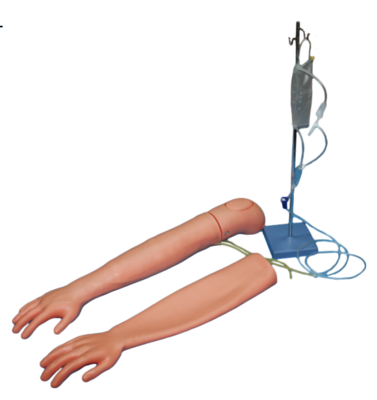 Venipuncture & Intramuscular Injection Arm