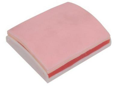 Skin and Muscle Suture Practice Pad