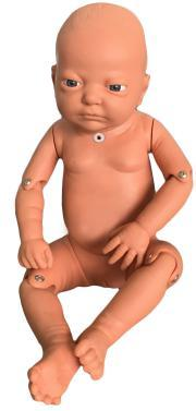 Infant Tracheotomy Care Simulator