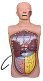 Electronic Transparent Gastric Lavage Training Simulator