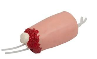 Lower Limb Trauma Amputaion and Hemostasis Model