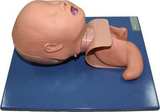 Neonate Tracheal Intubation Simulator