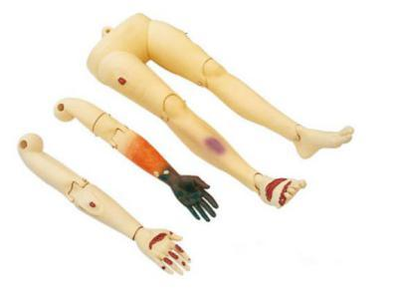 Trauma Limbs