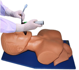 Electronic Trachea Intubation Training Simulator