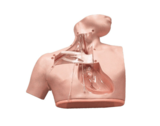 Parenteral Alimentation Nursing Simulator