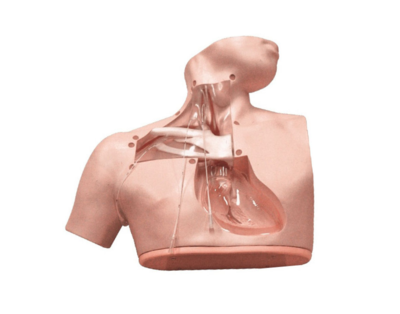 Parenteral Alimentation Nursing Simulator
