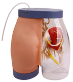 Buttocks Intramuscular Injection and Contrastive Simulator