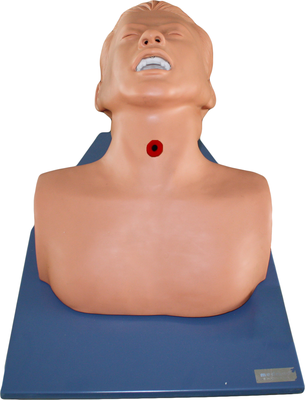 Adult Tracheotomy Care Simulator