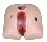 Decubitus Ulcer Care Simulator