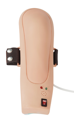 Electronic Upper Arm Intramuscular Injection Model