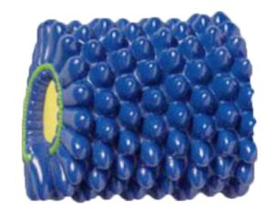 Baculovirus Model