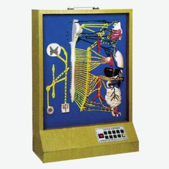 Electric Model of Autonomic Nerves