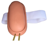 Foream Venipuncture Model