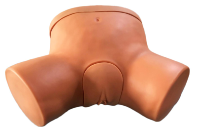 Female Catheterization Simulator