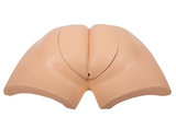 Wearable Artificial Defecation Training Simulator