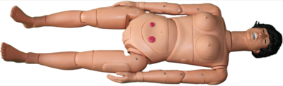 Advanced Postpartum Nursing Manikin