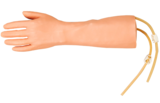IV Training Hand