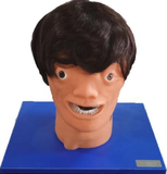 Debridement Suture Head Model