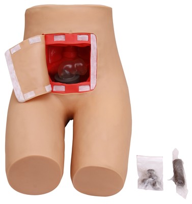Enema and Assisted Defecation Training Simulator