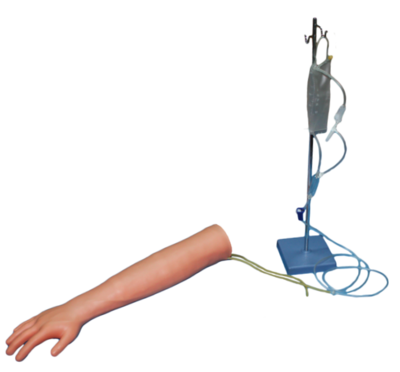 Venipuncture Training Arm